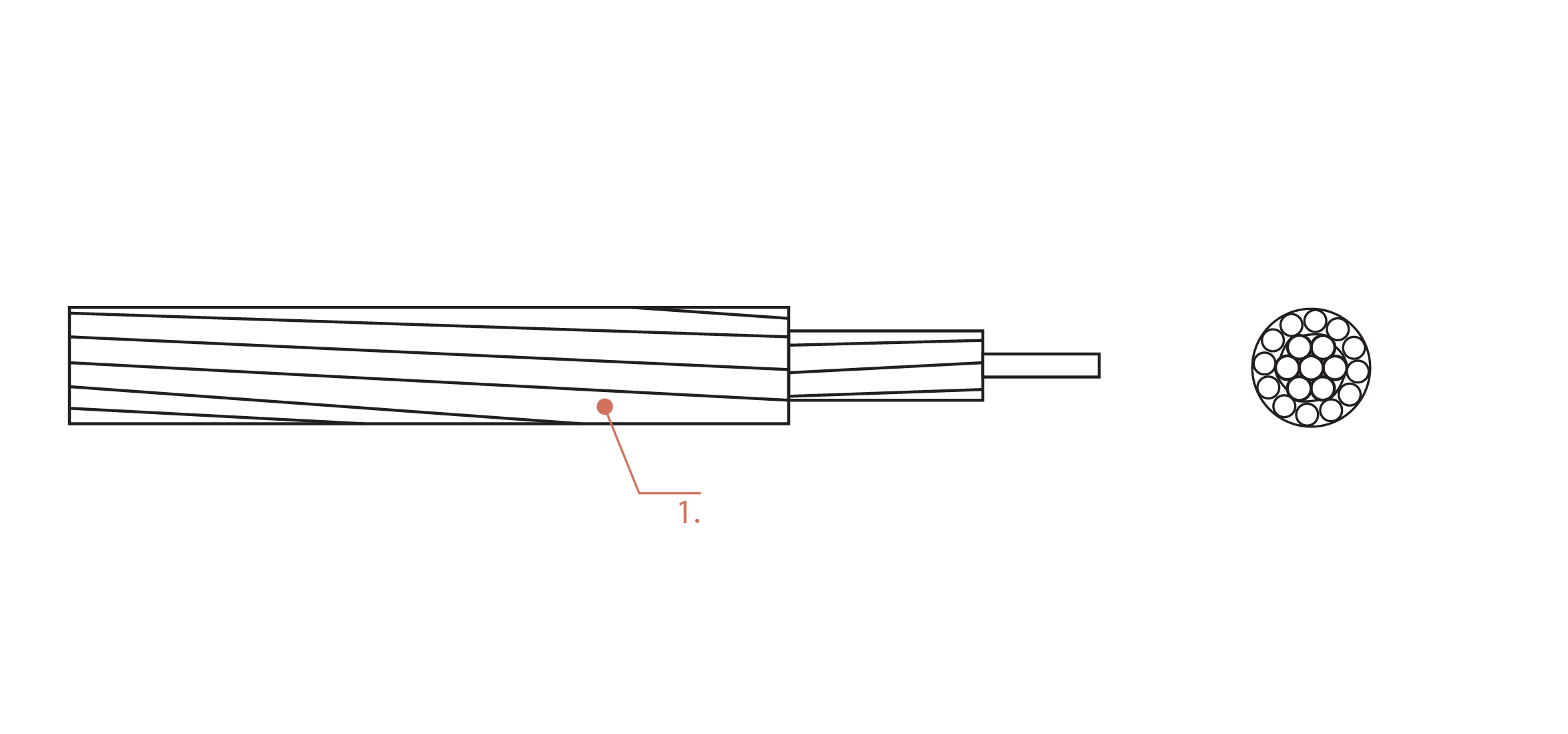 AAC 1